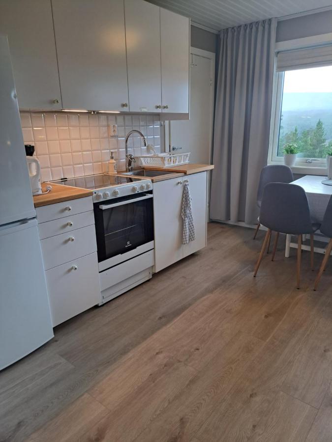 Mysig Laegenhet Med Fjaellutsikt I Saelen Apartment Exterior photo